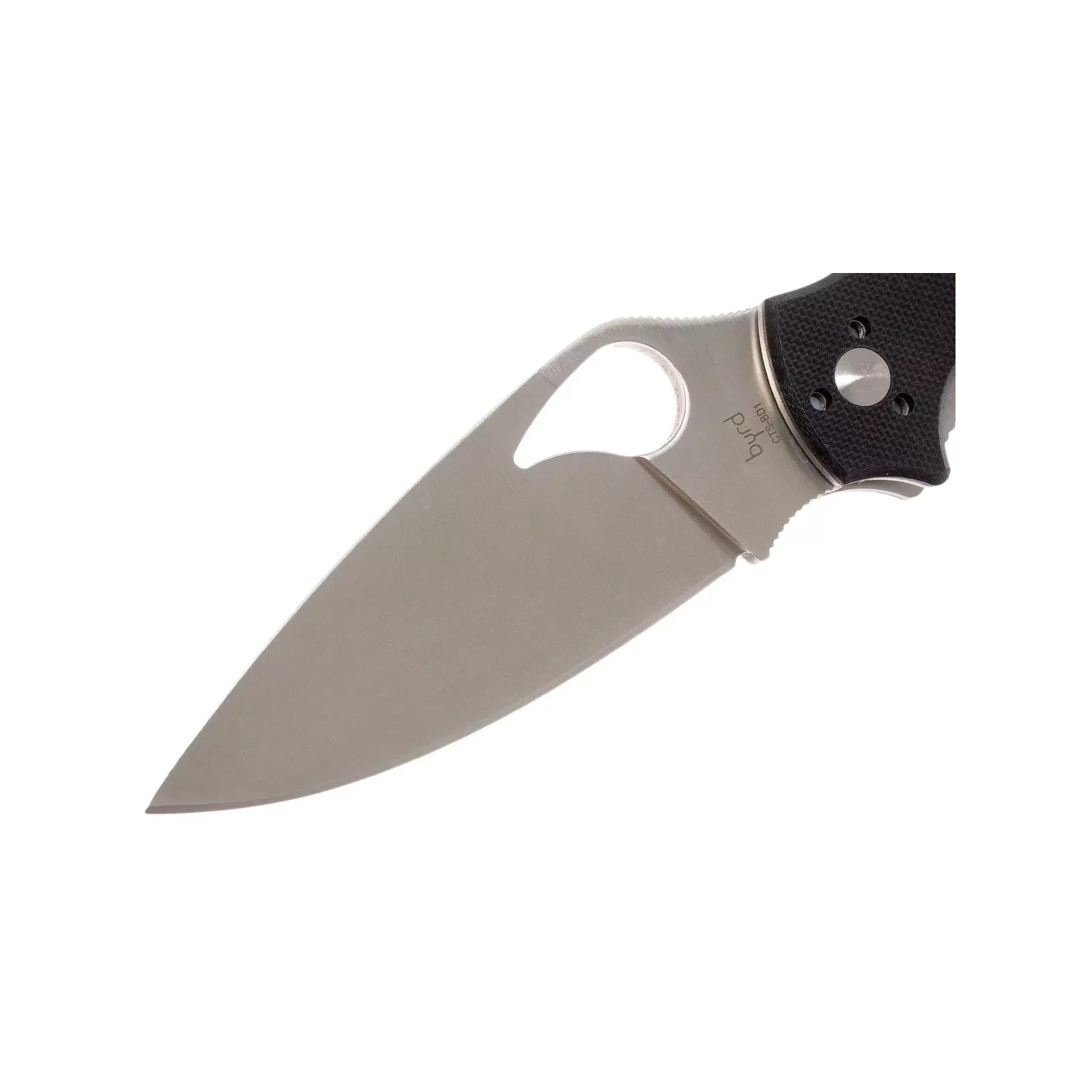 Нож Spyderco Byrd Raven 2 G-10 (BY08GP2) изображение 3