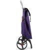 Сумка-тележка Rolser I-Max MF 2LRSG More (IMX308-1008) (930448) изображение 3
