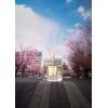 Аромадиффузор Sister's Aroma Morning in Japan 100 мл (4820227783878/4820227784547) изображение 2