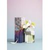 Аромадиффузор Sister's Aroma Morning in Japan 100 мл (4820227783878/4820227784547) изображение 3