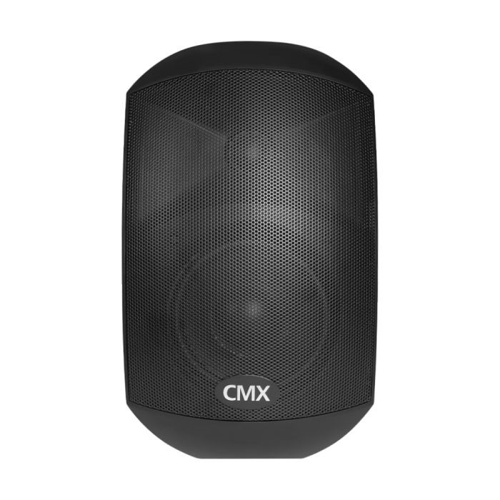 Громкоговоритель CMX WSK-420DS изображение 2
