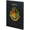 Щоденник шкільний Kite Harry Potter, тверда обкладинка (HP25-262-2) зображення 2