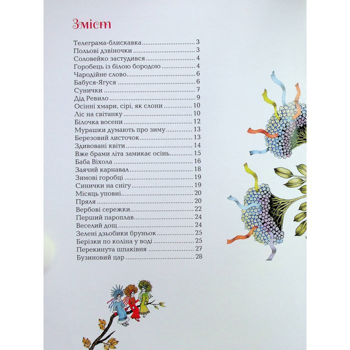 Книга Бузиновий цар - Ліна Костенко А-ба-ба-га-ла-ма-га (9786175853757) изображение 4