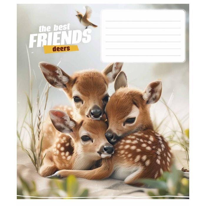 Зошит Школярик The best friends 12 аркушів коса лінія (012-3434C) зображення 4