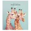 Зошит Школярик Love in paradise 48 аркушів клітинка (048-3256K) зображення 2