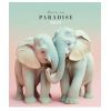 Зошит Школярик Love in paradise 48 аркушів клітинка (048-3256K) зображення 4