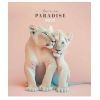 Зошит Школярик Love in paradise 48 аркушів клітинка (048-3256K)