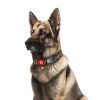 Ошейник для животных WAUDOG Nylon с QR адресником "Леопард" пластиковый фастекс L (282-4066) изображение 3
