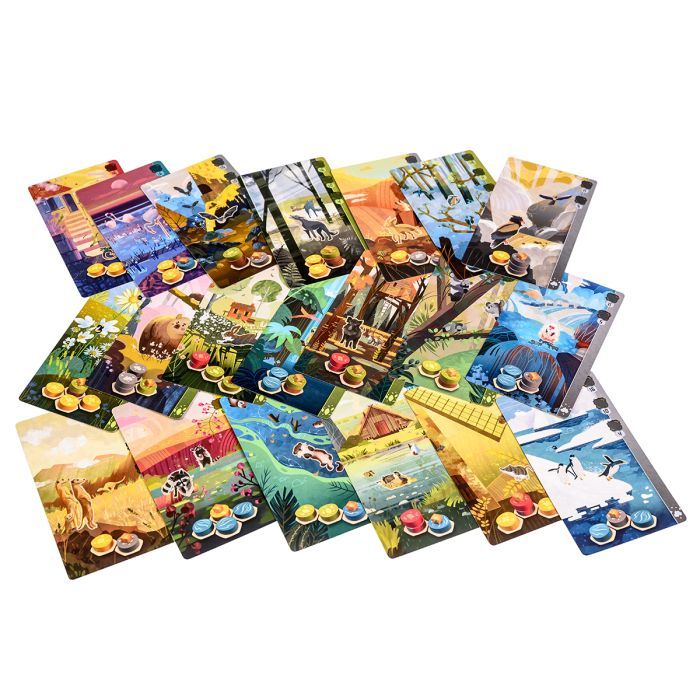 Настольная игра Ігромаг Гармония (Harmonies) (укр.) (8068) изображение 5