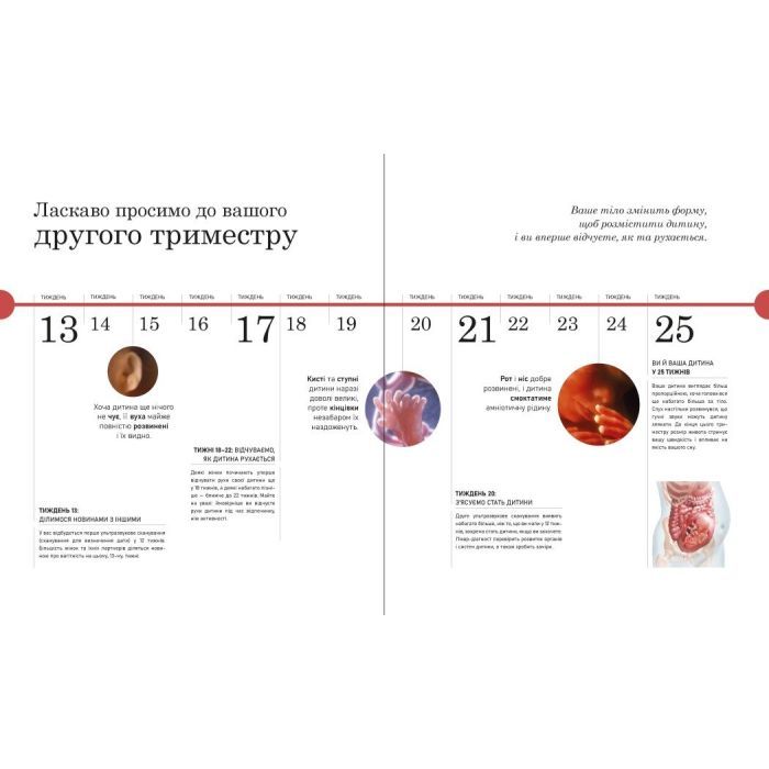 Книга Практична психологія. Вагітність день за днем - Меґґі Блотт Ранок (9786170991058) зображення 9