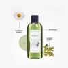 Шампунь Lebel Seaweed Shampoo 240 мл (4952195621385) зображення 2