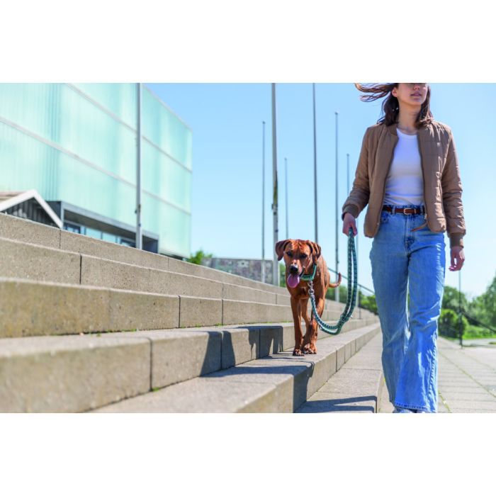 Поводок для собак Trixie Cavo регулируемый S–M 2 м диаметр 12 мм рыжий-графитовый (4053032677890) изображение 4