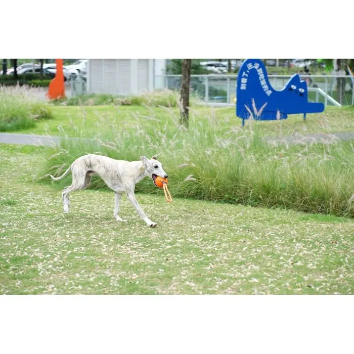 Игрушка для собак Cheerble Wicked Ball Air Rope (Bright Orange) (CWQ03O) изображение 10