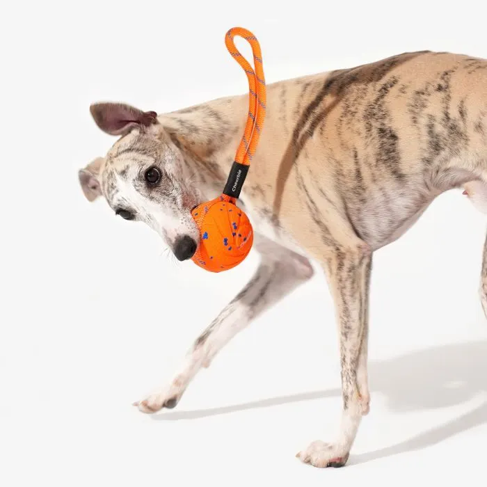 Игрушка для собак Cheerble Wicked Ball Air Rope (Bright Orange) (CWQ03O) изображение 4