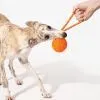 Игрушка для собак Cheerble Wicked Ball Air Rope (Bright Orange) (CWQ03O) изображение 6