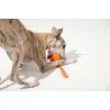 Игрушка для собак Cheerble Wicked Ball Air Rope (Bright Orange) (CWQ03O) изображение 9
