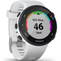 Смарт-часы Garmin Forerunner 45s White (010-02156-10) изображение 3