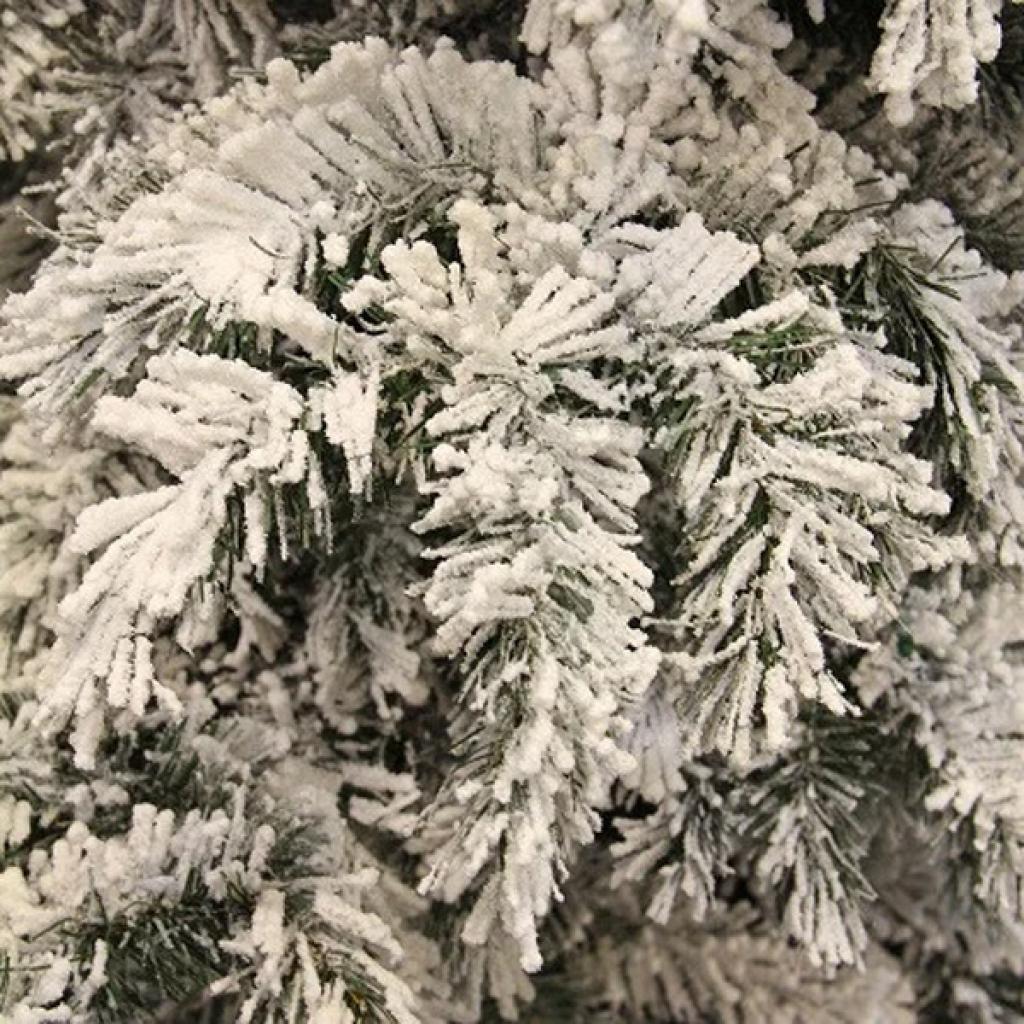Різдвяний вінок Black Box Trees Dinsmore Frosted 60 см (8718861289039) зображення 2