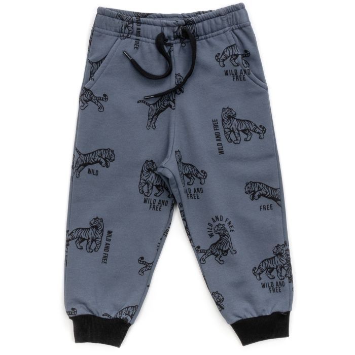 Штаны детские Breeze спортивные на флисе (16694-92B-gray)