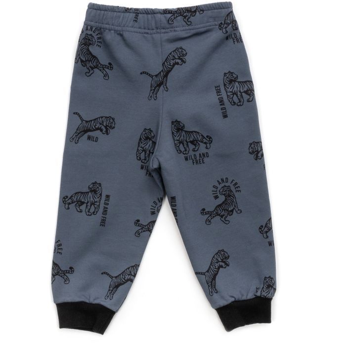 Штаны детские Breeze спортивные на флисе (16694-92B-gray) изображение 2