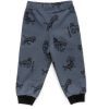 Штаны детские Breeze спортивные на флисе (16694-92B-gray) изображение 2