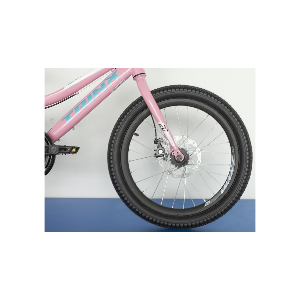 Велосипед Trinx Smart 1.0 20" Pink-White-Blue (Smart 1.0.PWB) зображення 3