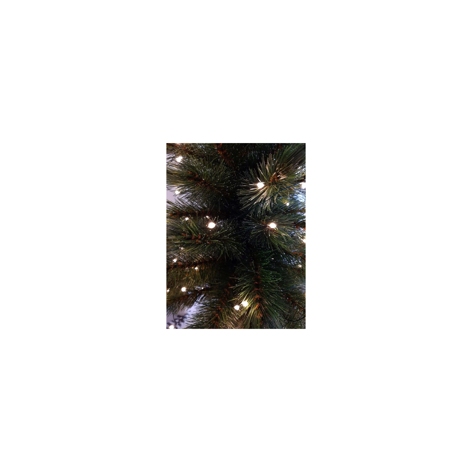 Гірлянда Luca Lighting Струна зелена, 13 м теплий білий (8718861853124) зображення 3