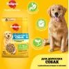 Сухий корм для собак Pedigree з птицею та овочами 2.6 кг (5998749144961) зображення 2