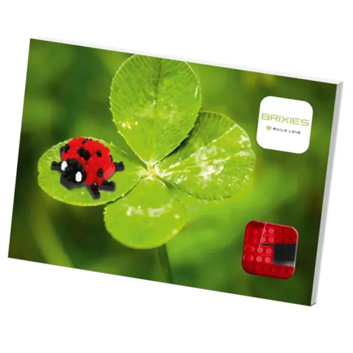 Конструктор BRIXIES Сонечко (220.019)