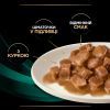 Влажный корм для кошек Purina Pro Plan Veterinary Diets EN Gastrointestinal При болезнях желудочно-кишечного тракта С курицей 10 x 85 г (8445290093561) изображение 11