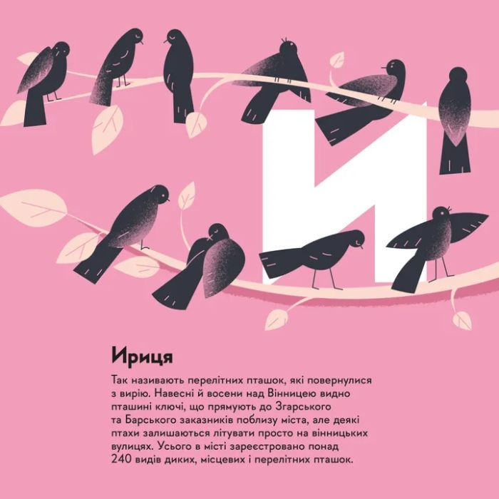 Книга Книжечка-мандрівочка. Вінниця Видавництво Старого Лева (9789664484012) зображення 11