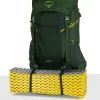 Рюкзак туристичний Osprey Ace 50 green canopy - O/S - зелений (009.3886) зображення 6