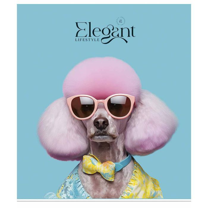 Зошит Школярик Elegant portrets 48 аркушів клітинка (048-3309K) зображення 3