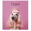 Зошит Школярик Elegant portrets 48 аркушів клітинка (048-3309K) зображення 5