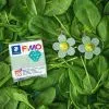 Пластика Fimo Effect, Ботаніка, сухоцвіт шпинату, 57 (4007817152898) изображение 3