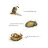 Книга Лицар Сич. Книга 1 - Крістофер Деніз Видавництво РМ (9786178512552) зображення 7