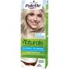 Краска для волос Palette Naturals без аммиака 10-2 Холодный блондин (3838824171180)
