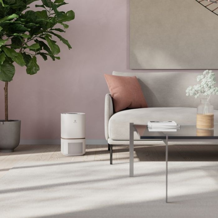 Очисник повітря Electrolux EPO50351SW зображення 9