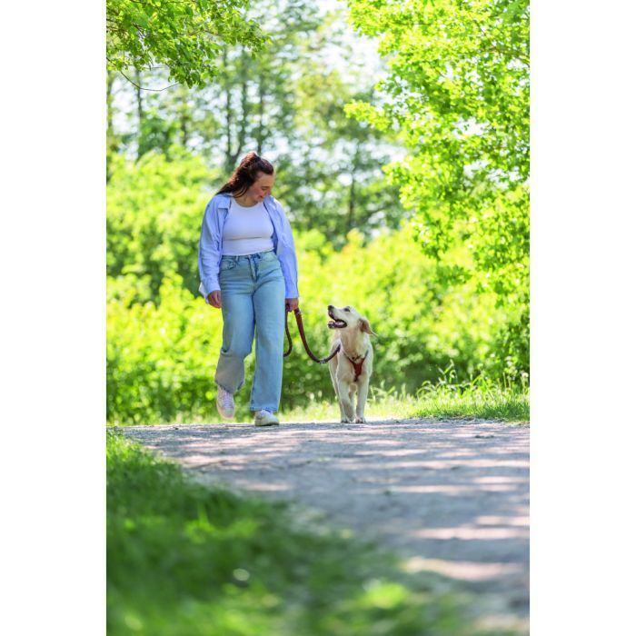 Поводок для собак Trixie Cavo регулируемый S–M 2 м диаметр 12 мм рыжий-графитовый (4053032677890) изображение 4