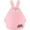 Игровой набор Kite Копилка Pink Bunny (K25-498-9)
