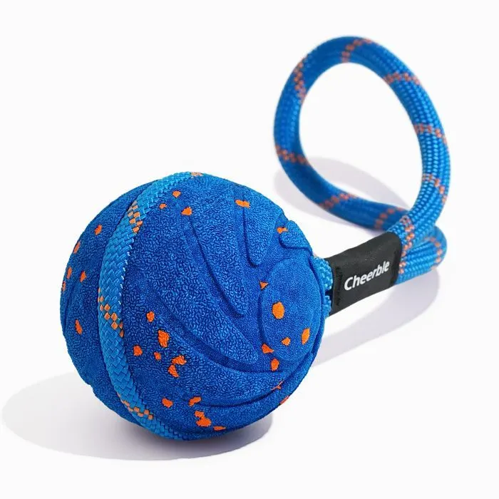 Игрушка для собак Cheerble Wicked Ball Air Rope (Royal Blue) (CWQ03B)