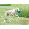 Игрушка для собак Cheerble Wicked Ball Air Rope (Royal Blue) (CWQ03B) изображение 9