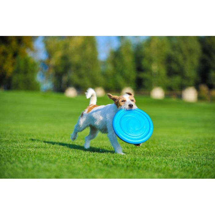 Игрушка для собак Collar PitchDog тарелка для апорта d:24 см голубая (62472) изображение 6