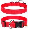 Нашийник для тварин Collar Dog Extremе 25 мм 31-49 см (червоний) (02523)