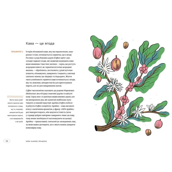 Книга Нові кавові правила - Захарі Карлсен, Джордан Майклмен Видавництво Старого Лева (9786176798910) изображение 6