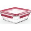 Пищевой контейнер Tefal Masterseal Glass Red 800 мл (N1041410) изображение 2
