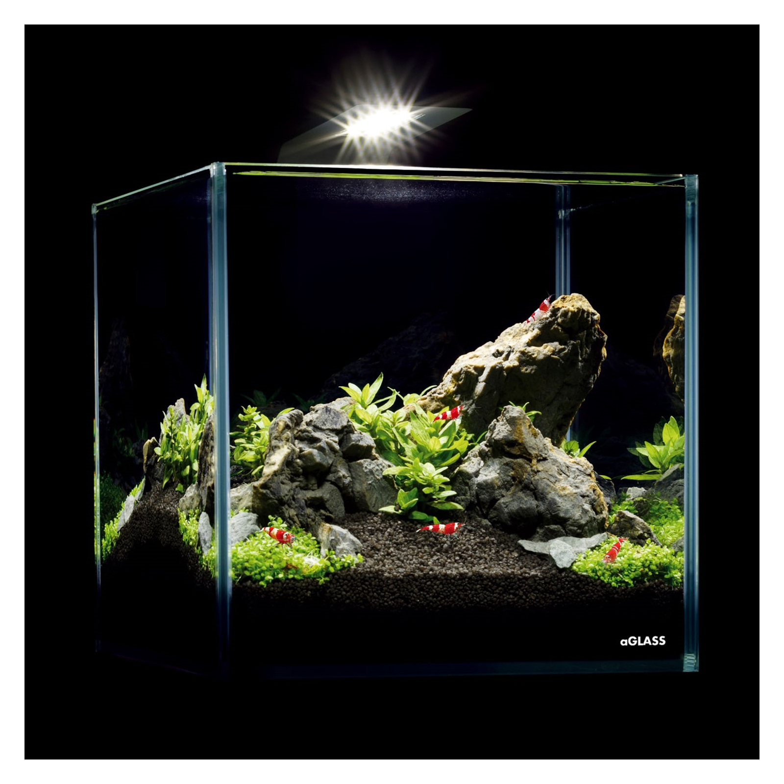 Світильник для акваріума Aqualighter Nano (для прісноводного акваріуму до 25л) 6500 к 400 люм (8225) зображення 4