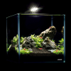 Светильник для аквариума Aqualighter Nano (для пресноводного аквариума до 25л) 6500 к 400 люм (8225) изображение 4