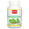 Вітамінно-мінеральний комплекс Jarrow Formulas Ашваганда, Ashwagandha, 120 вегетаріанських капсул (JRW-22014)