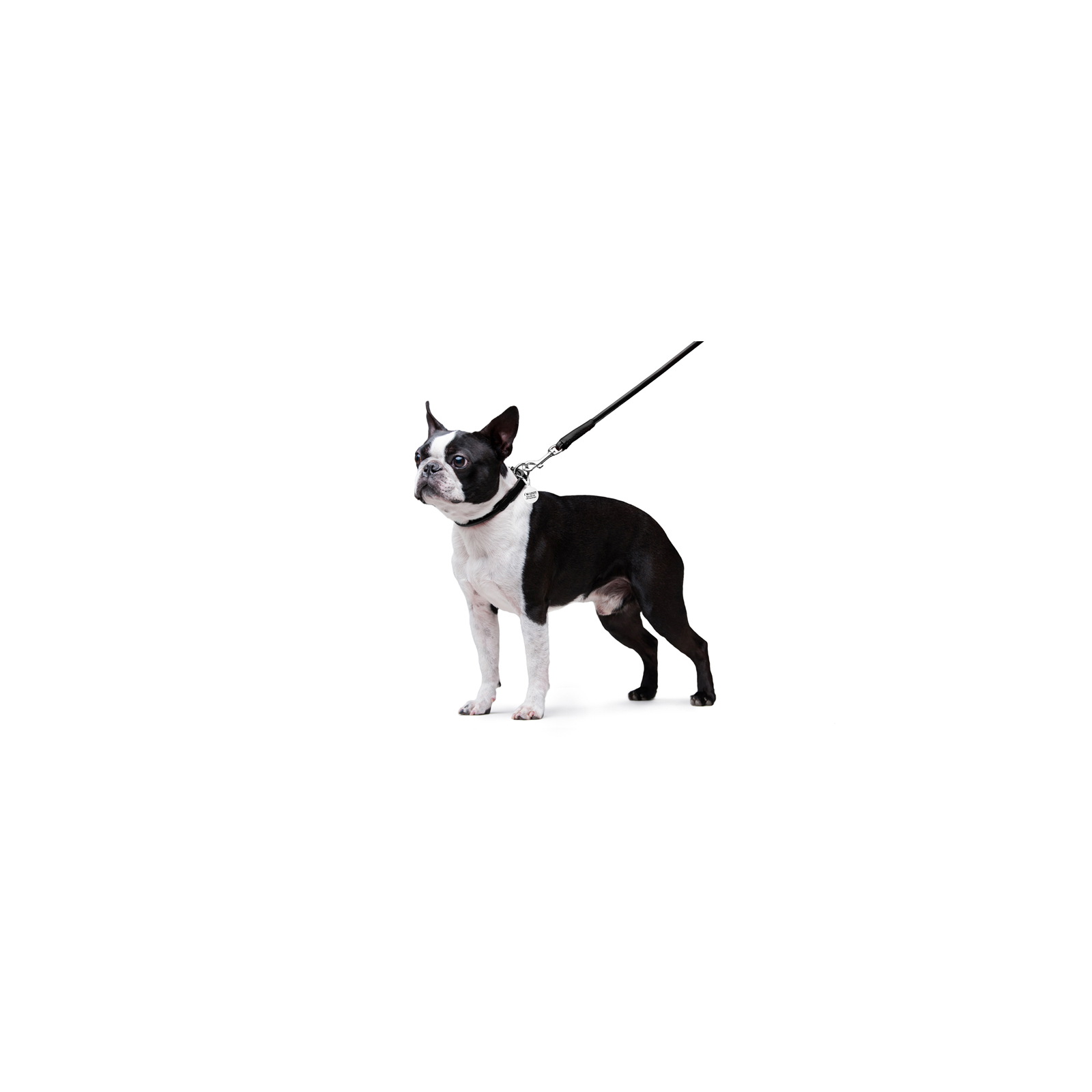 Поводок для собак WAUDOG Glamour круглый XS d 8 мм Д 122 см черный (33771) изображение 5